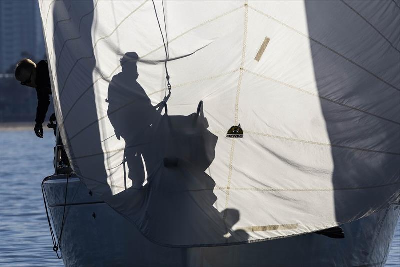 Spartan from a different perspective - Australian Women's Keelboat Regatta 2024 photo copyright Andrea Francolini taken at Royal Melbourne Yacht Squadron and featuring the IRC class