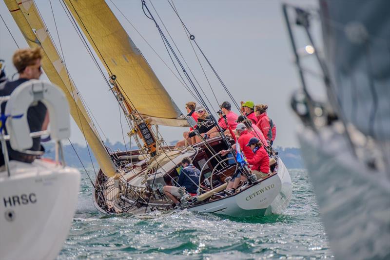 Taittinger Royal Solent Yacht Club Regatta - photo © Tim Jeffreys