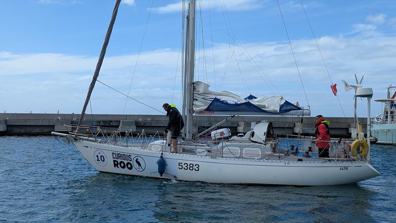 Starting out Curious Roo photo copyright M2O Media taken at Ocean Racing Club of Victoria and featuring the IRC class