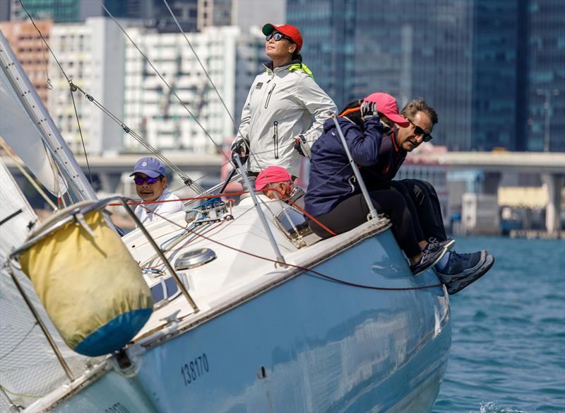 Volvo Ladies Helm 2025 - photo © RHKYC/ Guy Nowell