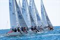 J24 UK Nationals at Plymouth Race Week © Paul Gibbins Photography