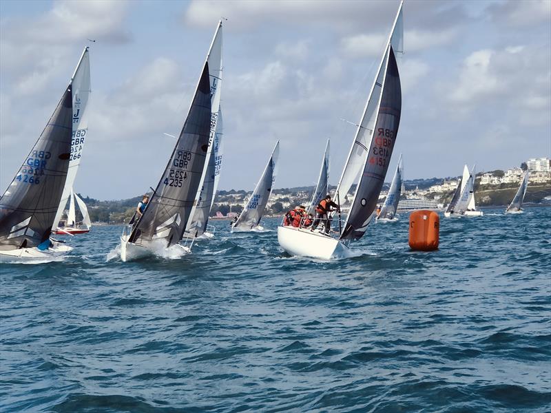 J/24s at the Torbay Royal Regatta 2024 photo copyright Bob Penfold taken at Royal Torbay Yacht Club and featuring the J/24 class