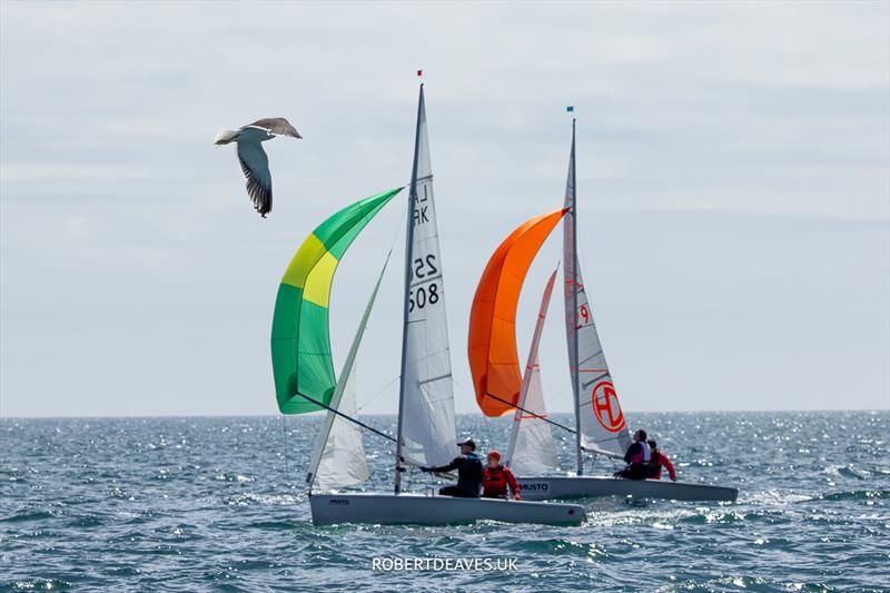 Musto Lark National Championships at Weymouth day 4 - photo © Robert Deaves / www.robertdeaves.uk