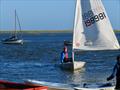 Regatta Season at Overy Staithe © Jennie Clark