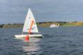 ILCA open meeting at Draycote © Alison Blakeway