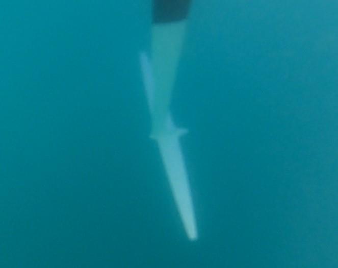 Vertical foil - underwater - Mackay Bieker BM-V3 Moth - Mackay Boats - December 2024 - photo © Mackay Boats