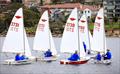 Manly Juniors at Manly 16ft Skiff Sailing Club © SailMedia