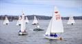 Manly Juniors at Manly 16ft Skiff Sailing Club © SailMedia