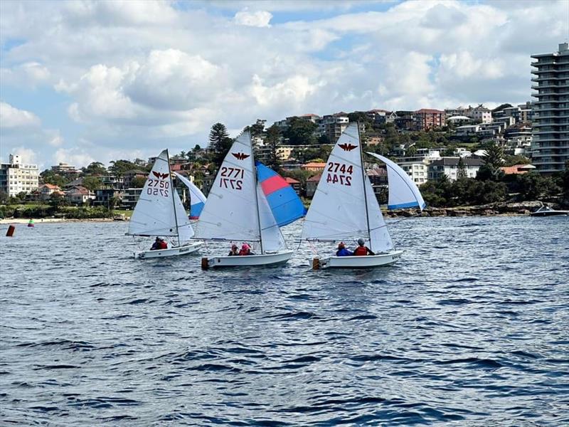 Manly Juniors at Manly 16ft Skiff Sailing Club photo copyright SailMedia taken at Manly 16ft Skiff Sailing Club and featuring the Manly Junior class