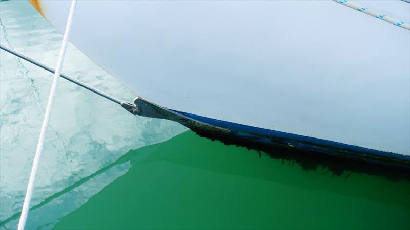 Regular hull grooming is the best way to ensure you don't carry hidden hitchhikers with you when you head off this summer  photo copyright Sail-World taken at Royal New Zealand Yacht Squadron and featuring the  class