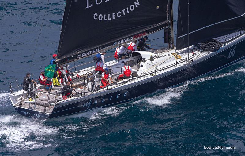 Alive heads south photo copyright Bow Caddy Media taken at Cruising Yacht Club of Australia and featuring the Maxi class