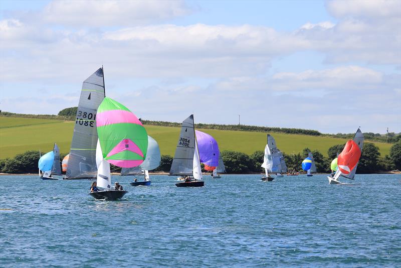 Salcombe Gin Merlin Week 2024 Day 1 - photo © Lucy Burn