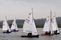 Start of last race - Miracle Welsh Championships at Shotwick © Geoff Weir