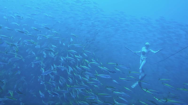 Spearfishing - photo © Dr Riley Elliott