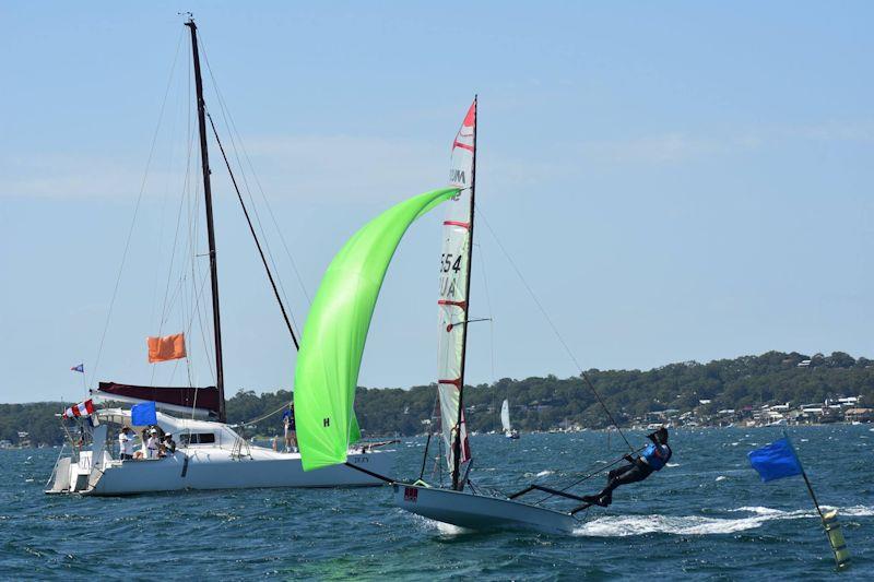 Spud Muffin at the Australian Musto Skiff National Championship 2019 - photo © Phil Mayo