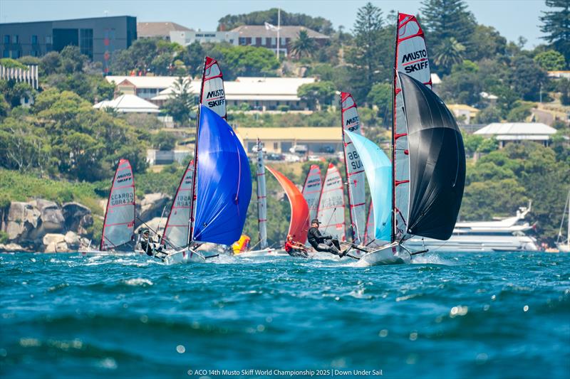 ACO 14th Musto Skiff World Championship 2025, Sydney, Australia Day 2 - photo © Tidal Media Australia for Down Under Sail