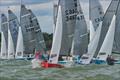 Allen Sailing National 12 Burton Week 2024 at Felixstowe Ferry © Pavel Kricka