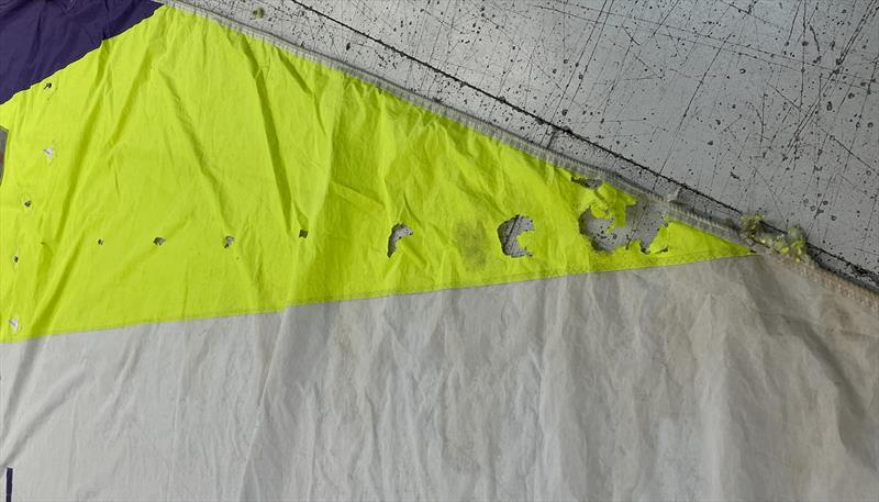 A sail with rodent damage - photo © Noble Marine