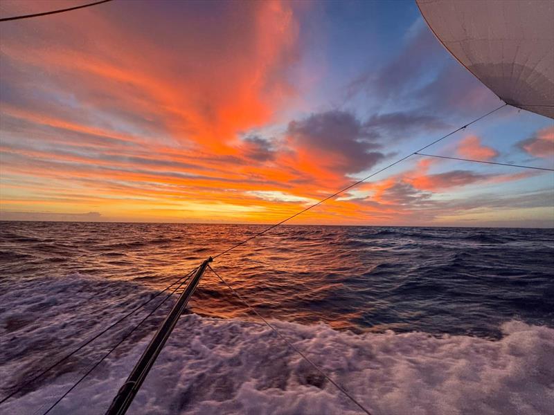 Sunrise aboard MS Amlin - November 30, 2024  photo copyright Conrad Colman taken at Royal New Zealand Yacht Squadron and featuring the IMOCA class