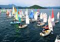 Not one boat OCS! Bart's Bash 2024 at Hebe Haven Yacht Club © Hebe Haven Yacht Club