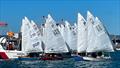 Wihau Shield - Day 2 - P Class Centennial - Tauranga Y&PBC - May 4-5, 2024 © Gary Smith