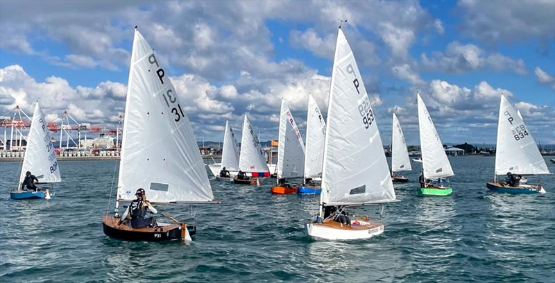 Wihau Shield - Day 2 - P Class Centennial - Tauranga Y&PBC - May 4-5, 2024 - photo © Gary Smith