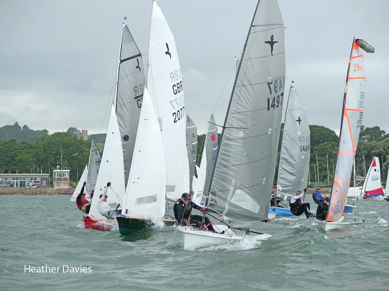 River Exe Regatta 2023 - photo © Heather Davies