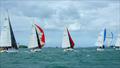 Farr 1020 NZ Nationals - Bucklands Beach YC - June 2024 © Ross Hebner