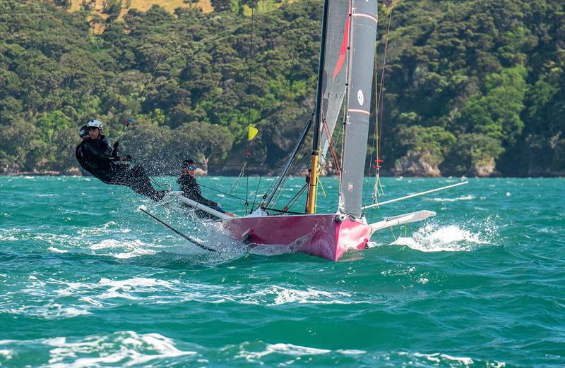 Bay of Islands Sailing Week 2025: The sportsboat Animal Biscuits has been converted to a foiler - photo © Jacob Fewtrell Media