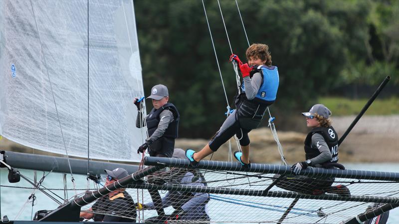 Bay of Islands Sailing Week 2025: The sportsboat Animal Biscuits has been converted to a foiler - photo © Jacob Fewtrell Media