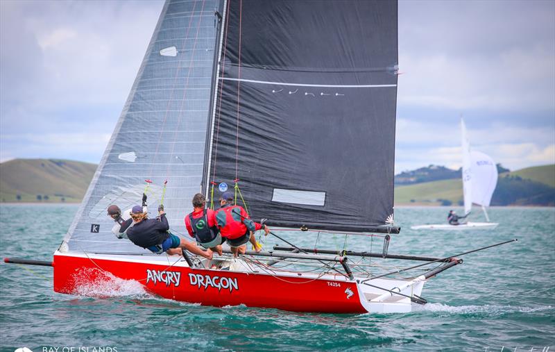 Day 2 - Bay of Islands Sailing Week 2025 - January 23, 2025  photo copyright Jacob Fewtrell Media taken at Bay of Islands Yacht Club and featuring the PHRF class