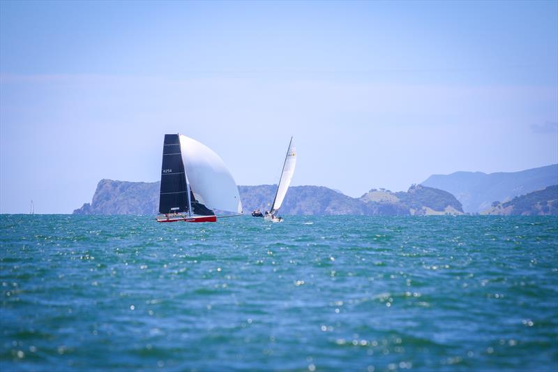 Angry Dragon - Day 2 - Bay of Islands Sailing Week 2025 - January 23, 2025  photo copyright Jacob Fewtrell Media taken at Bay of Islands Yacht Club and featuring the PHRF class