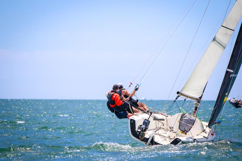 Day 2 - Bay of Islands Sailing Week 2025 - January 23, 2025  photo copyright Jacob Fewtrell Media taken at Bay of Islands Yacht Club and featuring the PHRF class