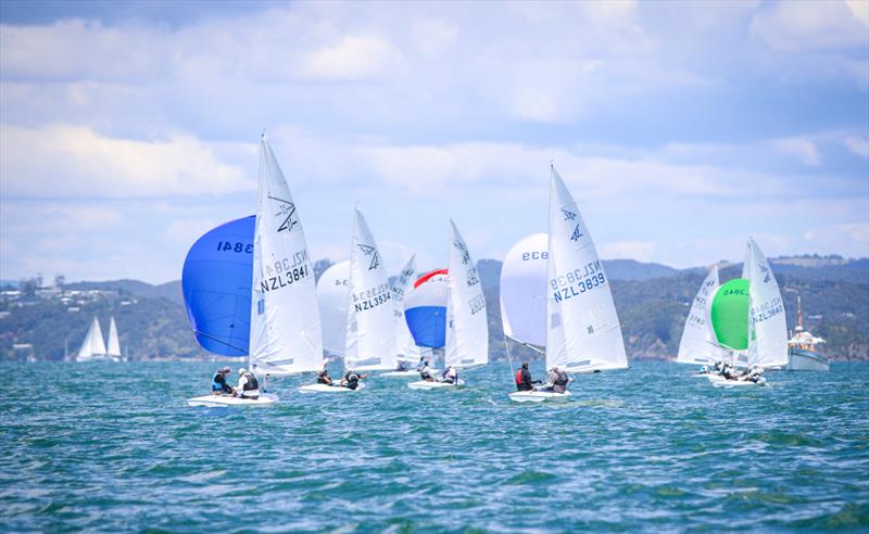 Flying Fifteens - Day 3 - Bay of Islands Sailing Week - January 25, 2025 photo copyright Jacob Fewtrell Media taken at Bay of Islands Yacht Club and featuring the PHRF class