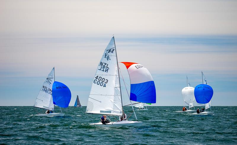 Flying Fifteens - Day 3 - Bay of Islands Sailing Week - January 25, 2025 - photo © Jacob Fewtrell Media