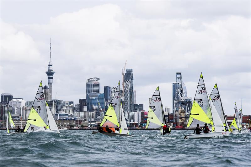 Day 1 - SailGP Inspire- RS Feva - Royal Akarana YC - Jan 17, 2025 photo copyright Justin Mitchell www.justinmitchell.co.nz - Instagram: @jl_mitchell_ taken at Royal Akarana Yacht Club and featuring the RS Feva class