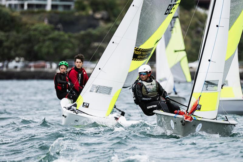 Day 1 - SailGP Inspire- RS Feva - Royal Akarana YC - Jan 17, 2025 photo copyright Justin Mitchell www.justinmitchell.co.nz - Instagram: @jl_mitchell_ taken at Royal Akarana Yacht Club and featuring the RS Feva class