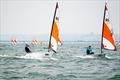 Rooster RS Tera Nationals at Thorpe Bay © Lynn Bew