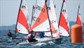 The RS Tera Worlds will be held a Lake Lipno © RS Tera Class Association