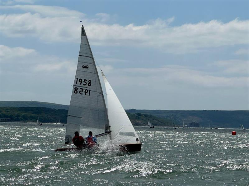 Scorpions at the Lymington Dinghy Regatta - photo © Adrian Chisnell