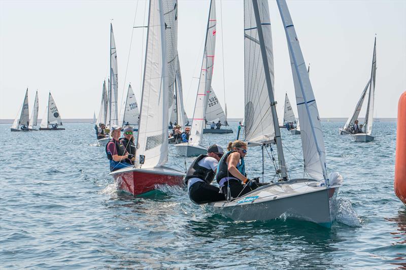 TCL Scorpion Nationals 2024 at Castle Cove Day 4 - photo © Lee Whitehead / www.photolounge.co.uk