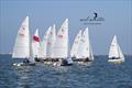 2024 Seafly Nationals at Blakeney Sailing Club © Neil Foster Photography