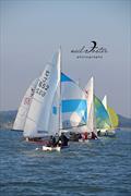 2024 Seafly Nationals at Blakeney Sailing Club © Neil Foster Photography