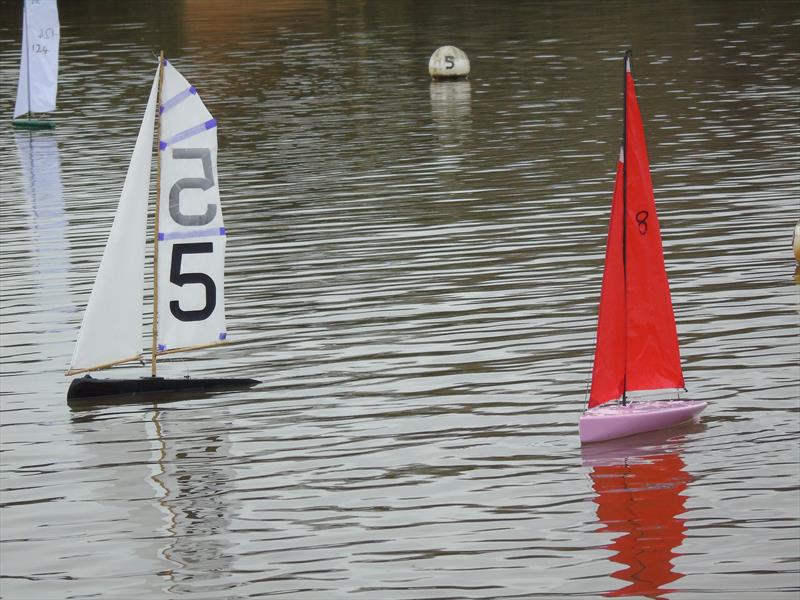 2014 Setley Cup photo copyright Ann Brunskill taken at Solent Radio Controlled Model Boat Club and featuring the Setley Cup class