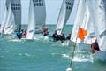 The Sharpie class boasts a strong fleet on the Adelaide coast - Harken SA Summer of Sail Festival © Elise Dalmaso