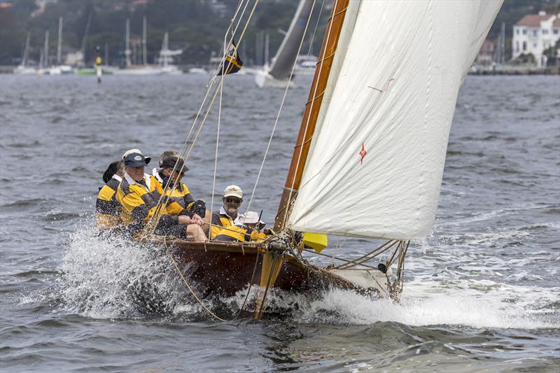 Historical 18 at Sydney Harbour Regatta - photo © Andrea Francolini, MHYC