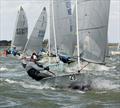 Allen 2024 Solo Nationals at Brightlingsea © Nick Champion / www.championmarinephotography.co.uk