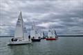 Medway YC Holdfast Keelboat Regatta © MYC