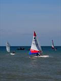 Kent School Sailing Association 2024 Annual Regatta © Anna Candy