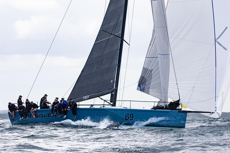 Dolphin joins Smuggler during Pallas Capital Gold Cup Act 3 - photo © Nic Douglass for @sailorgirlHQ